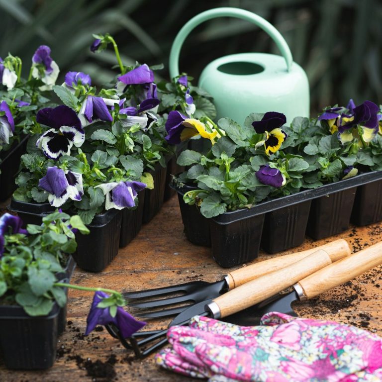 North Wales Planters Wooden Garden Planters Flintshire
